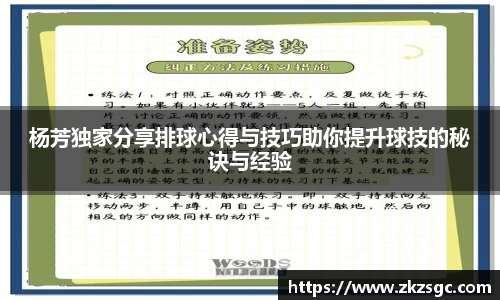 杨芳独家分享排球心得与技巧助你提升球技的秘诀与经验